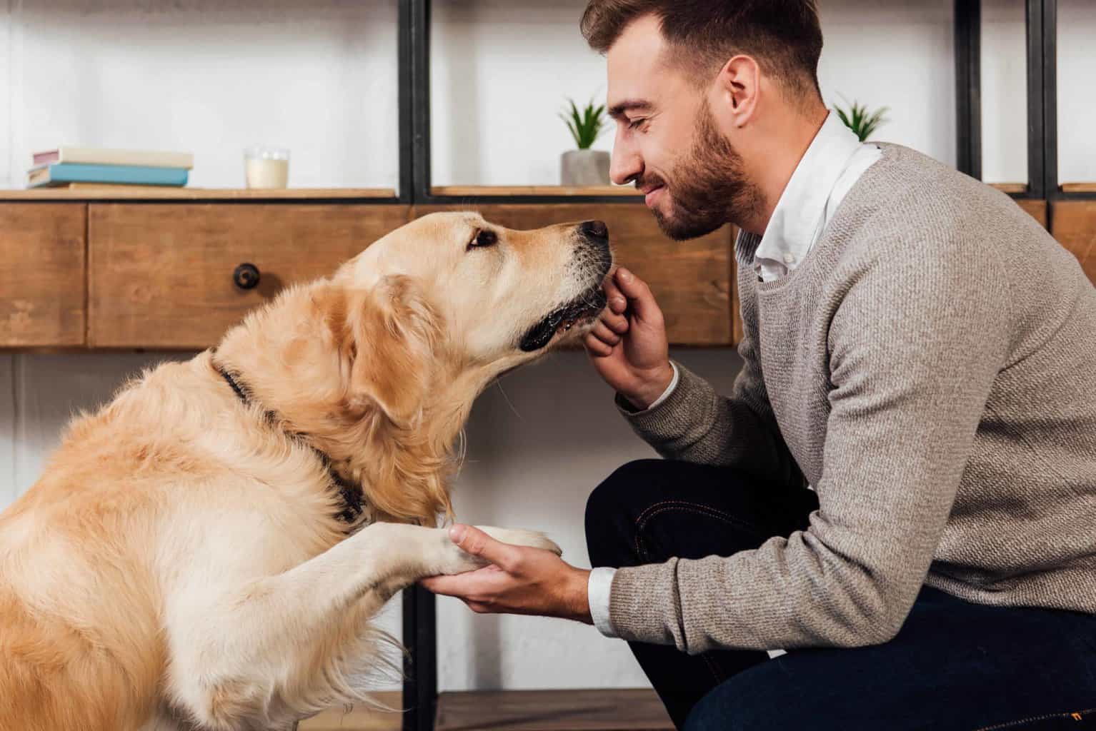 Socializing Your Dog: 6 Tips to Train Your Dog to Behave