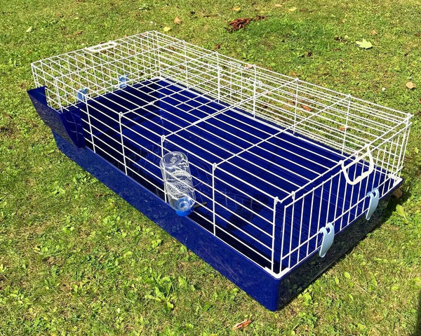 Secure Pig Cage