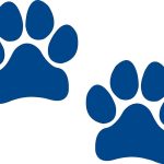 paw prints